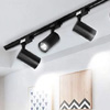 Magnetic Lights